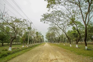 Dhaka-Village-Project-Photo-02