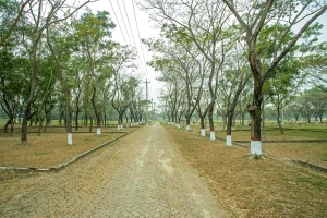 Dhaka-Village-Project-Photo-04